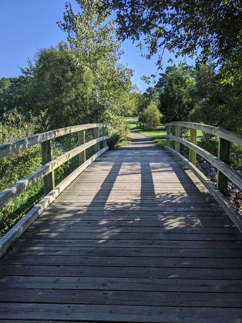 Tindey Trail, The Loop Locals Keep Coming Back To