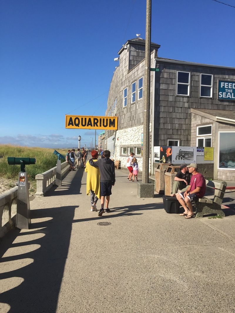 Touch Tanks And Harbor Seals At The Seaside Aquarium