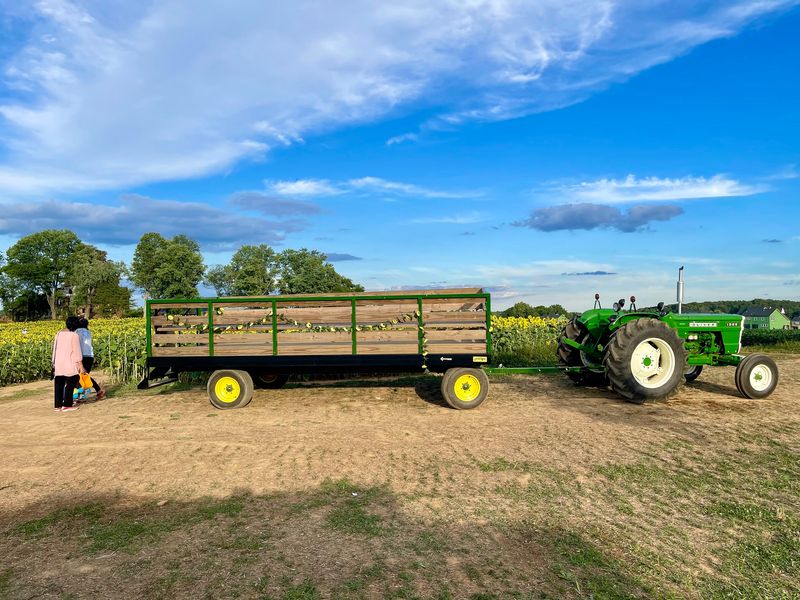 Tractor Swings, Slides, And Corn Pits For Younger Visitors