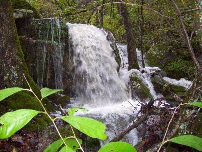 Trails For When You Want Dry Land