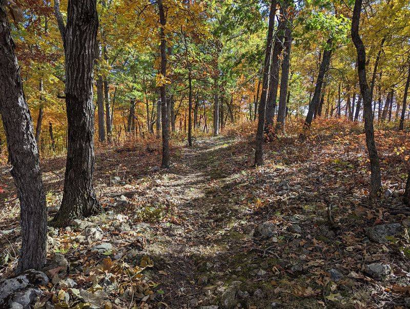 Trails Get Better In Cool Air