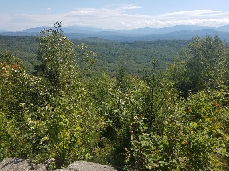 Trails, Parks, and Local Food Once You Have Walked Enough Pavement