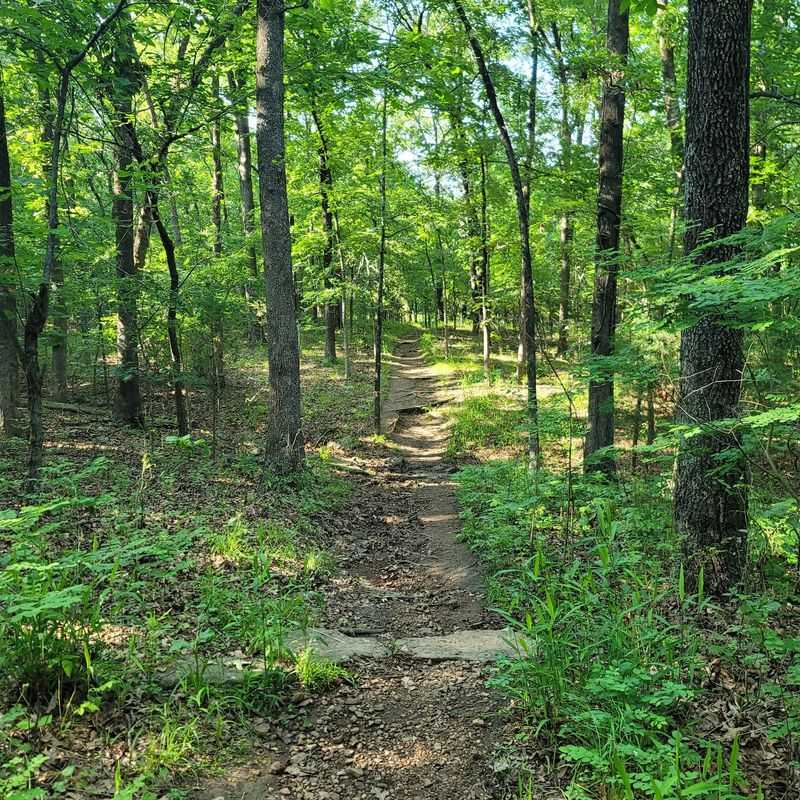 Trails, Swimming, And Room To Roam