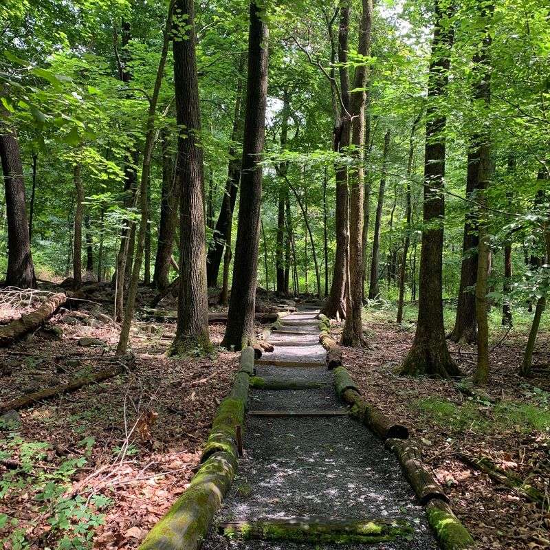 Trails That Ask You To Slow Down Trails That Ask You To Slow Down