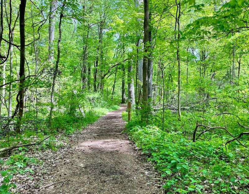 Trails That Fit Every Kind of Explorer