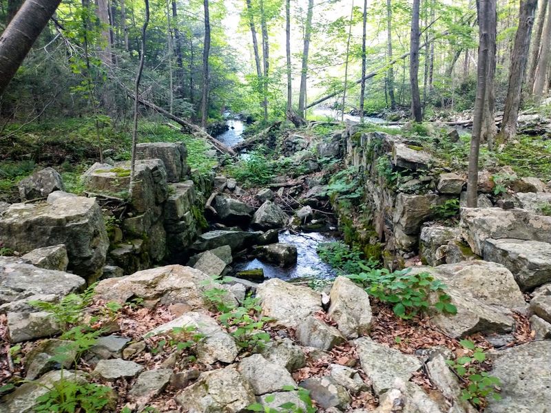 Trails That Lead to Wildlife