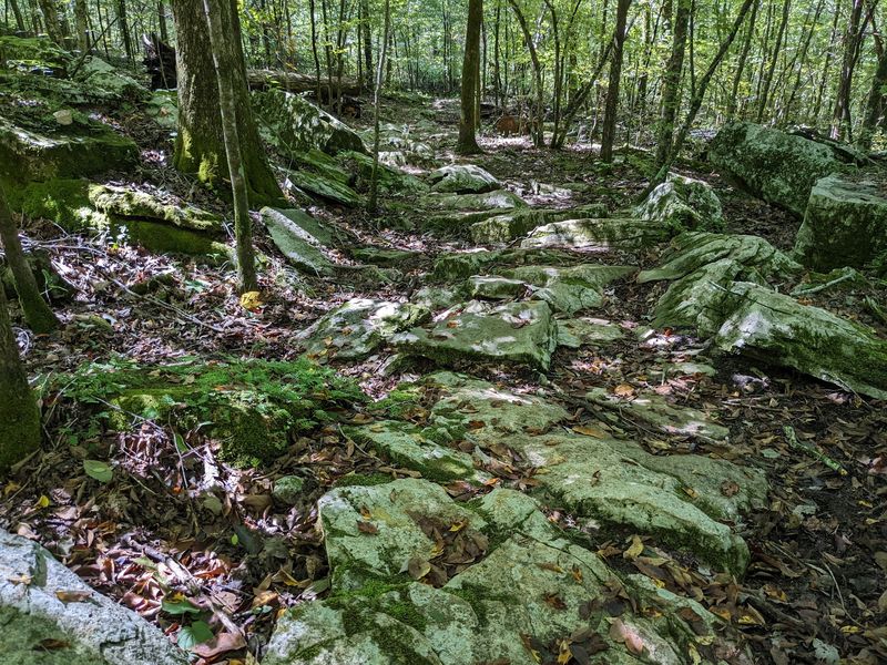 Trails That Loop Through Quiet Woods Above The Cave Trails That Loop Through Quiet Woods Above The Cave