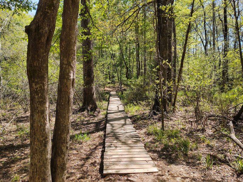 Trails That Suit Every Kind of Walker