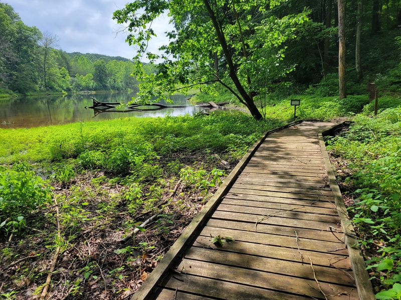 Trails That Take Their Time Winding Through The Hills