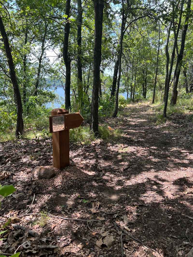 Trails Through Oak Trees And Prairie Grass