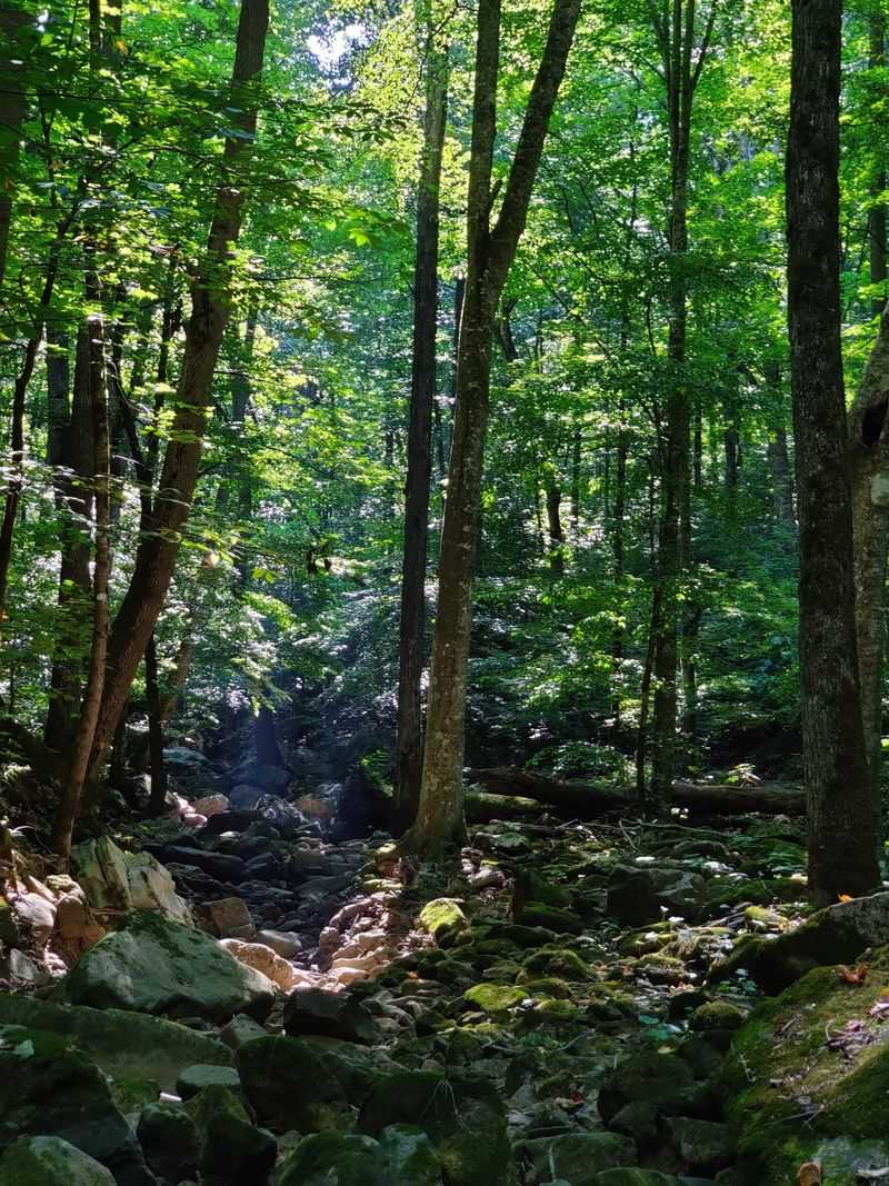 Trails for Every Kind of Explorer Trails for Every Kind of Explorer