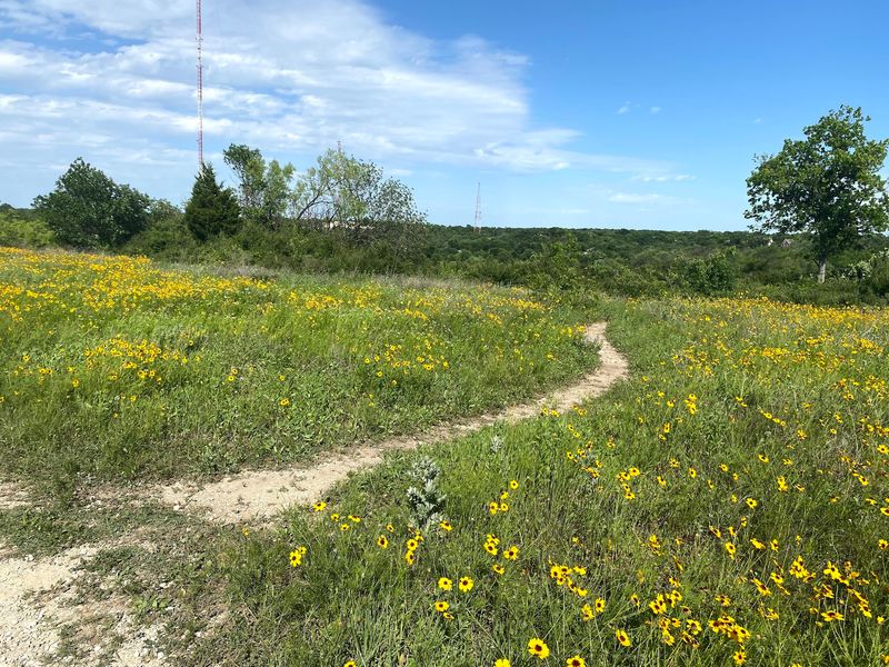 Trails for Every Pace, Views for Every Eye