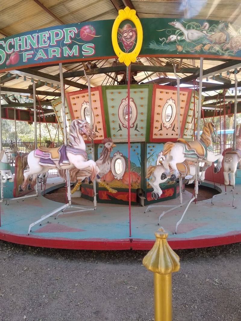 Train Rides, Goats, and a Coney Island Carousel