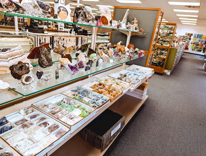 Treasures from Deep Time, Fossils and Artifacts