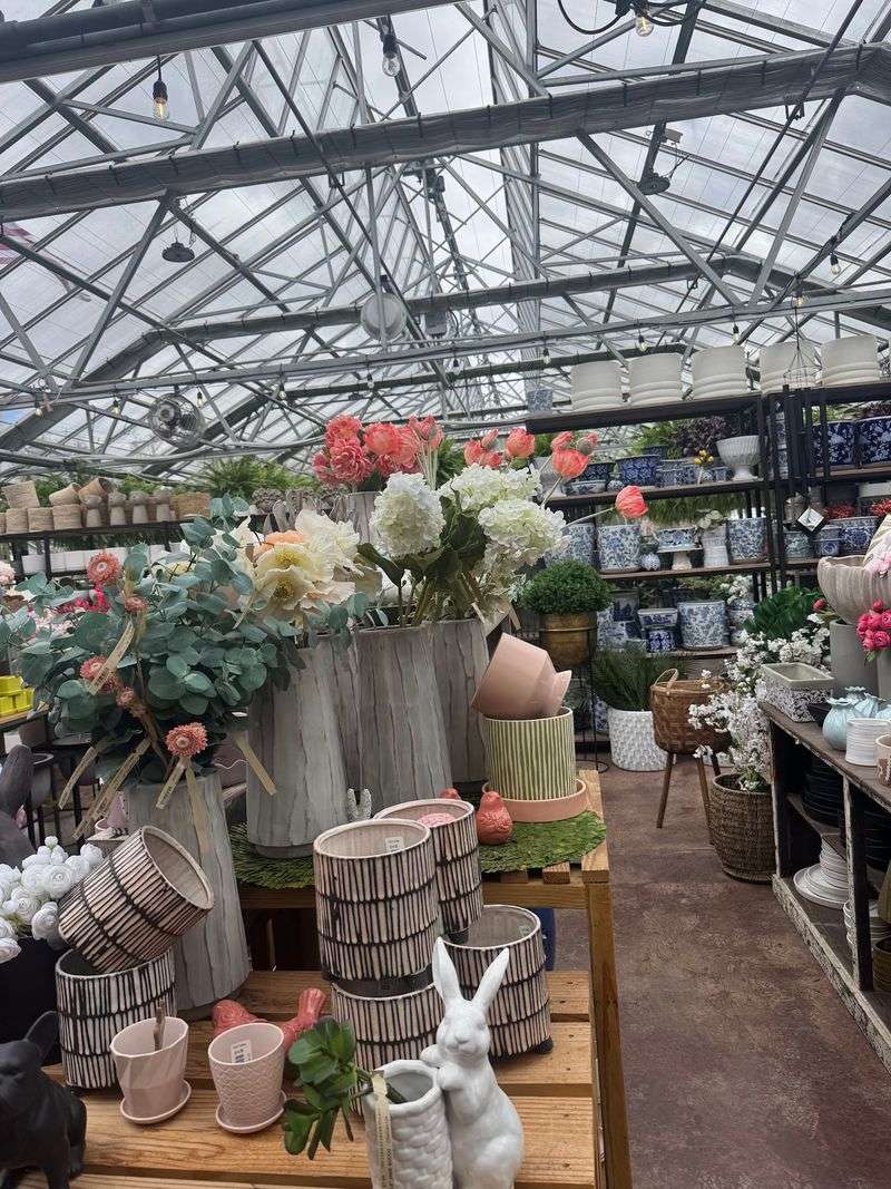 Trees for Every Yard and Every Season