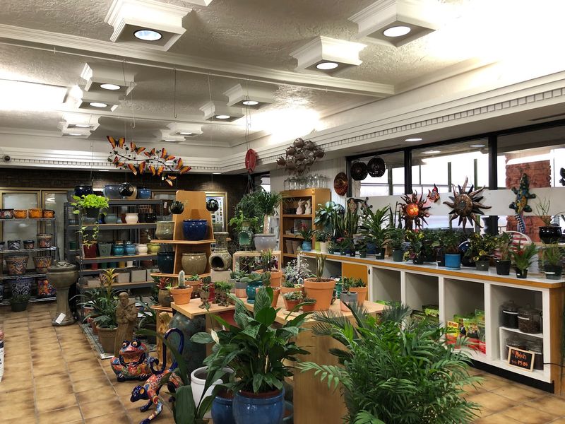 Tropical Plants That Make You Forget The Weather