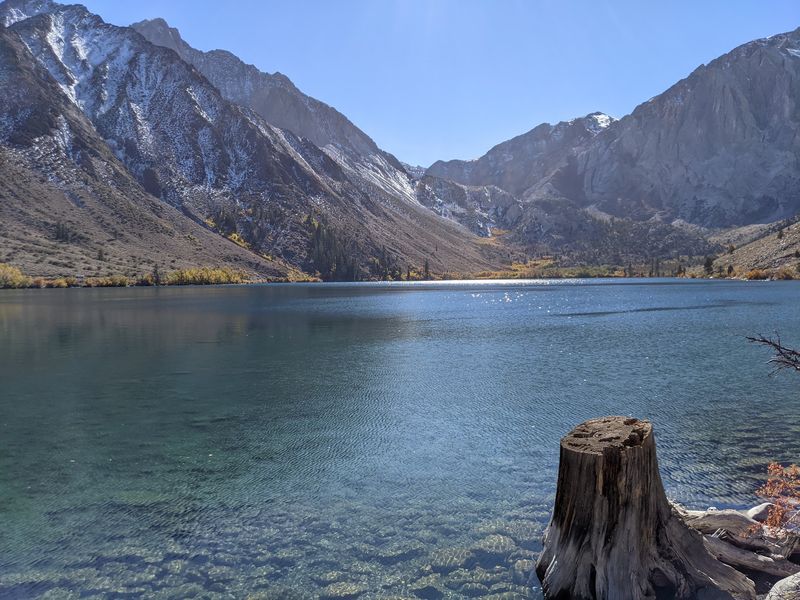 Trout Cruising Below You Like Exhibit Fish