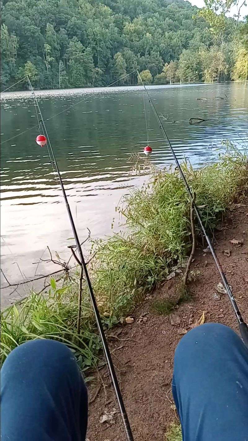 Trout Fishing From the Bank Only Trout Fishing From the Bank Only