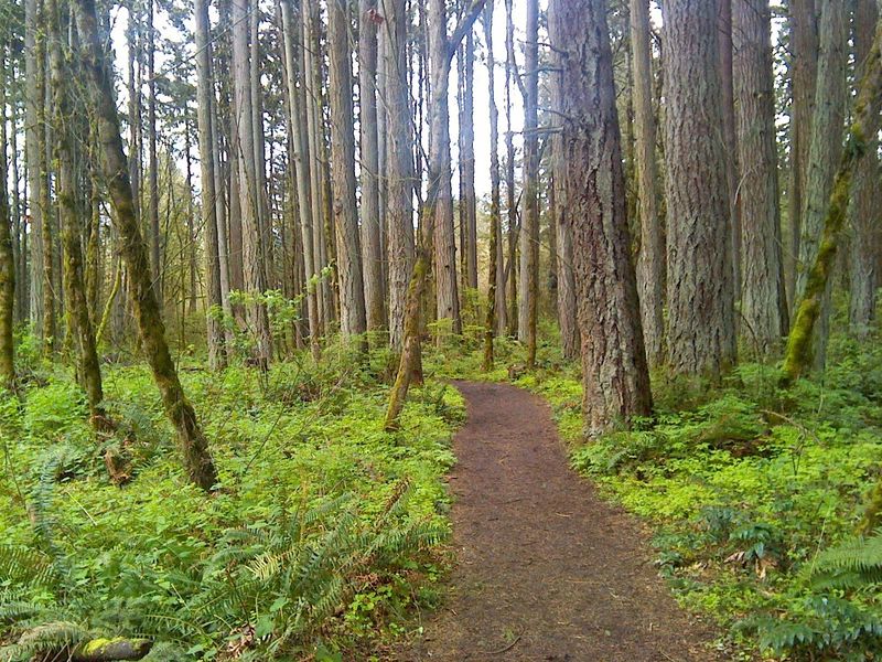 Tualatin Hills Nature Park