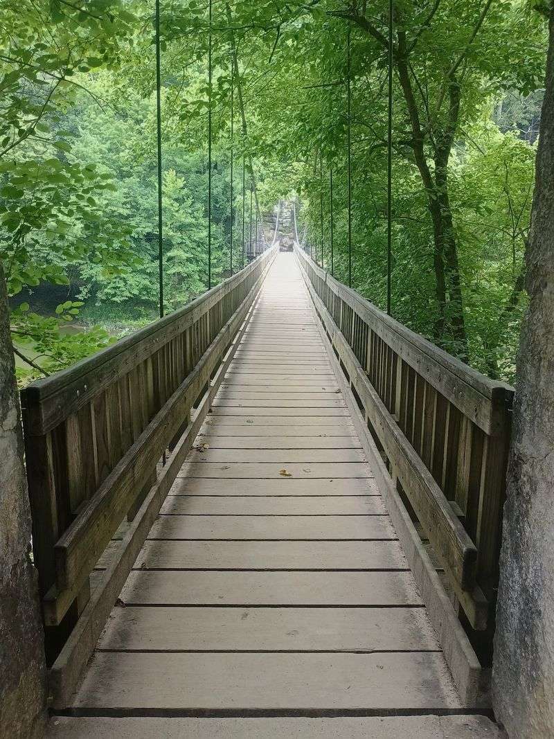 Turkey Run State Park and Its Ladder Trails