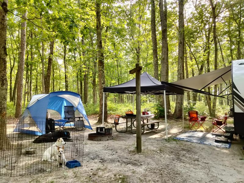 Turkey Swamp Park Family Campground Turkey Swamp Park Family Campground