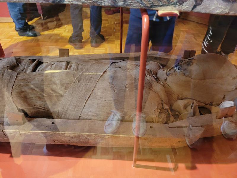 Two Genuine Egyptian Mummies Under One Roof Two Genuine Egyptian Mummies Under One Roof