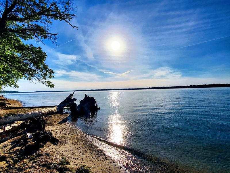 Two Miles of Potomac Shoreline Almost Nobody Talks About