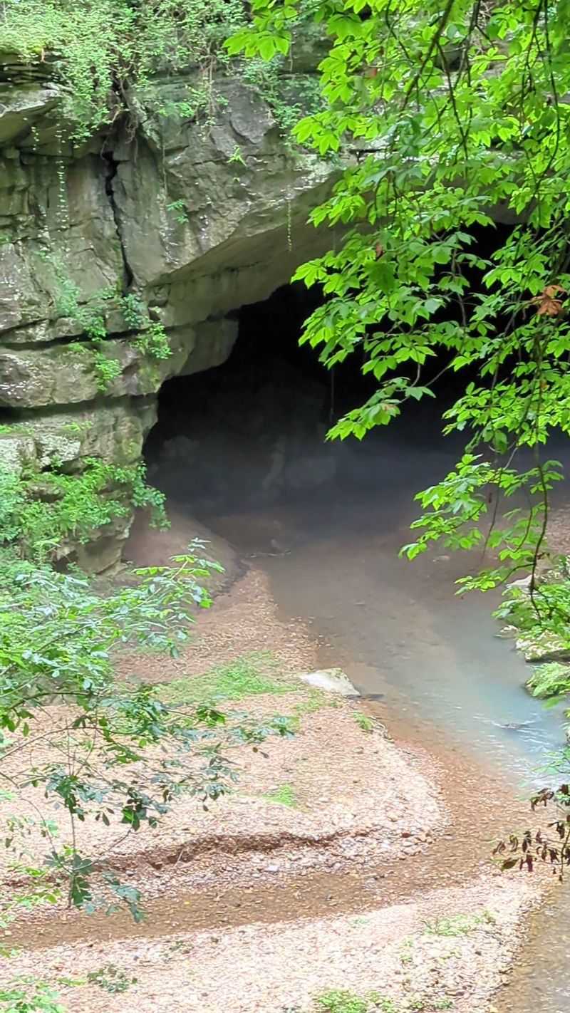 Uncover Millennia of Human History Right Beneath Your Feet Uncover Millennia of Human History Right Beneath Your Feet
