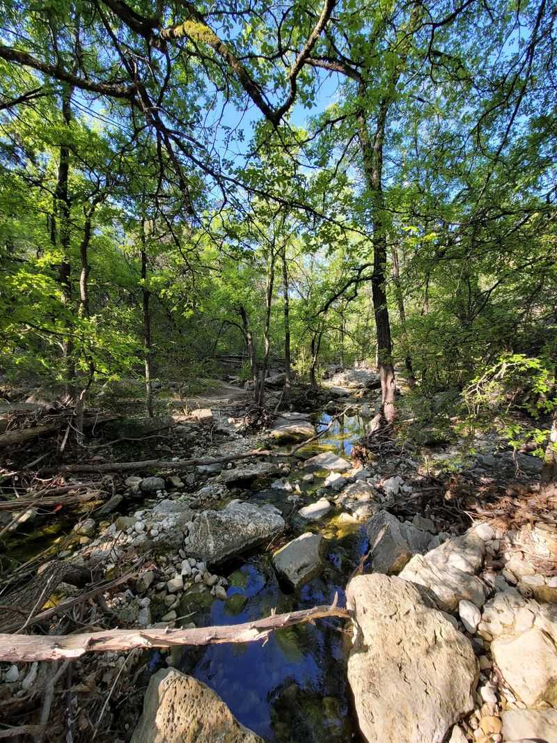 Urban Wilderness Where the City Nearly Disappears