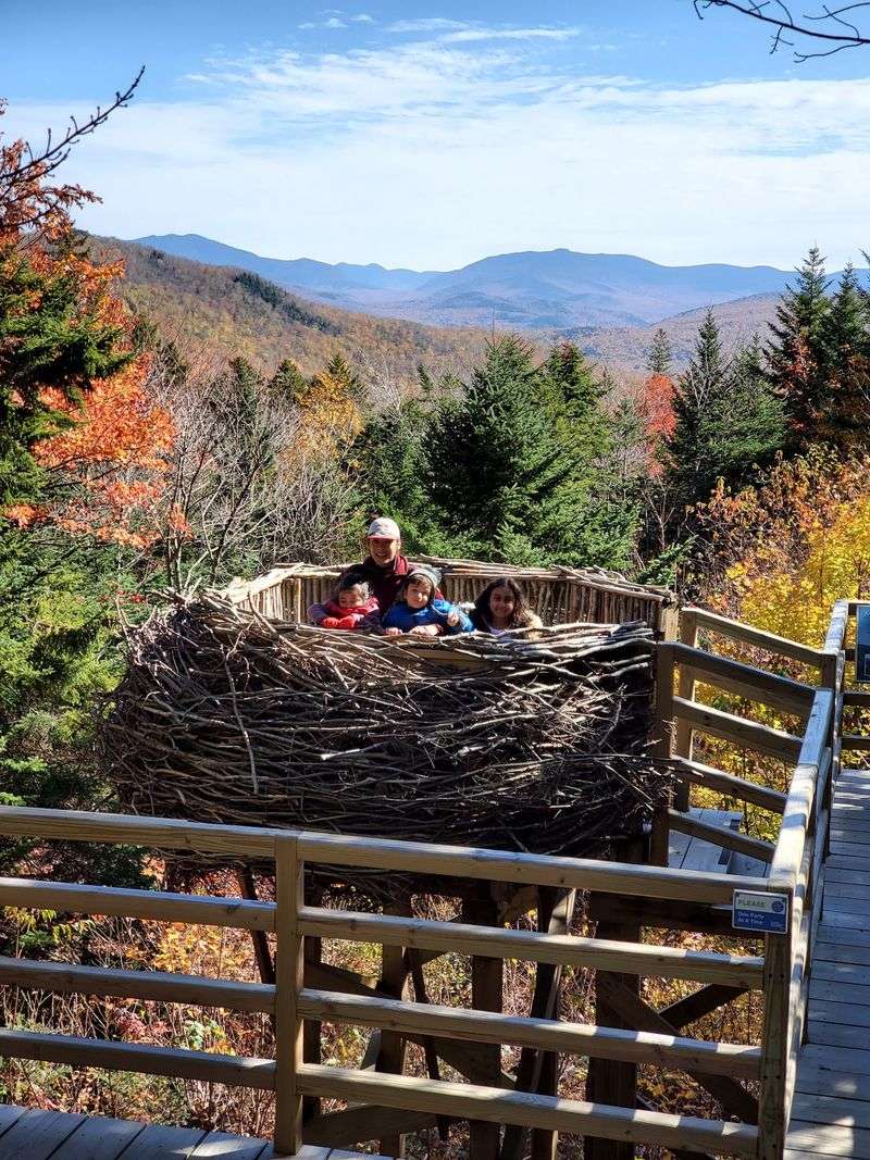 Valley Viewpoint Overlook and the Giant Bird's Nest Platform Valley Viewpoint Overlook and the Giant Bird's Nest Platform