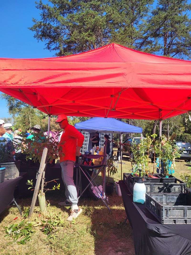 Vendor Village And Its Handmade Treasures
