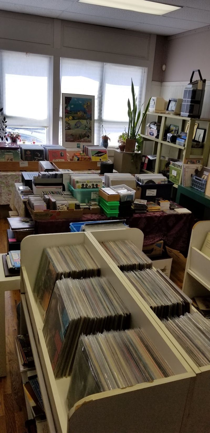 Vinyl Spinning While You Shop