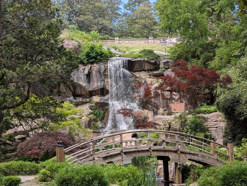 Virginia Wildlife Trail Where Native Animals Steal the Show