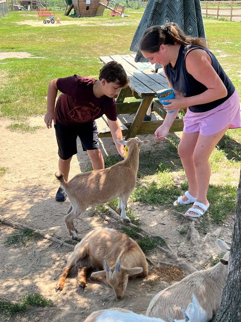 Visitors Can Feed The Residents Visitors Can Feed The Residents
