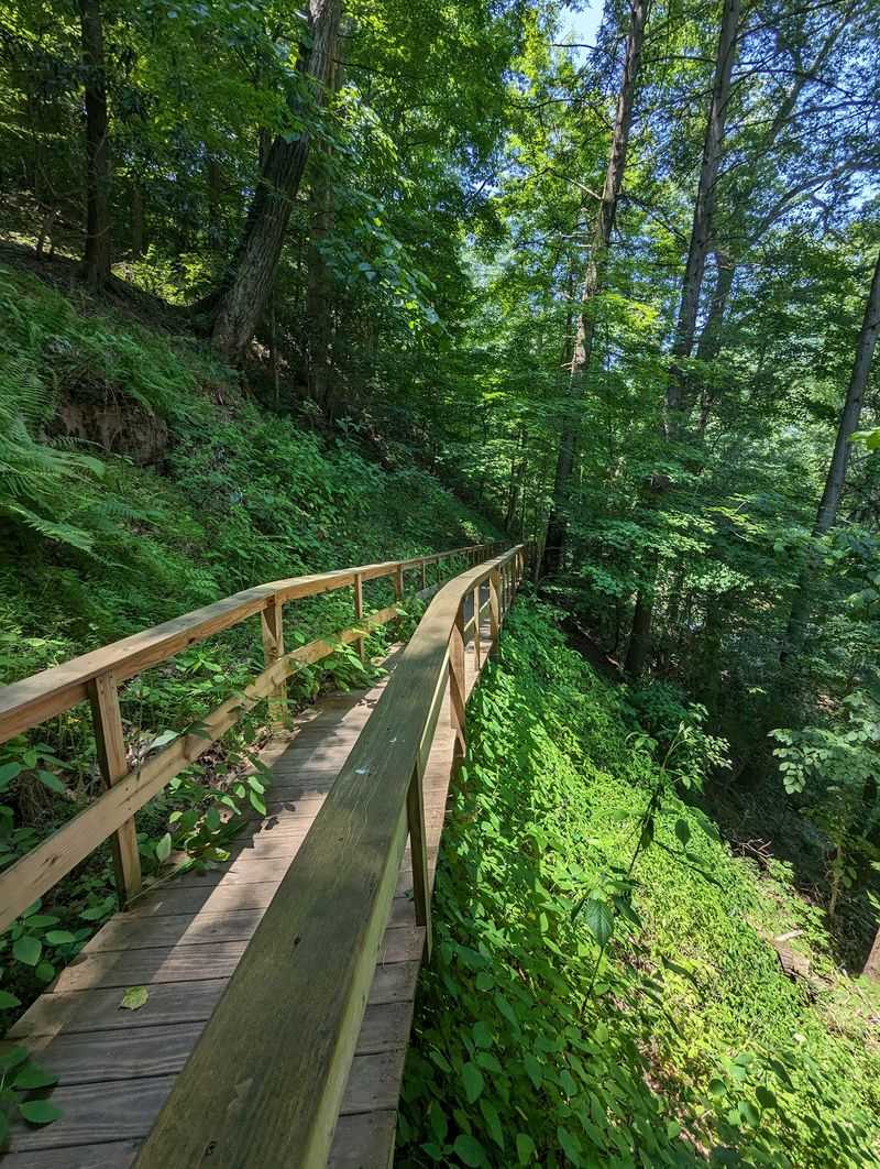 Walk The Same Planks As 19th Century Suitors