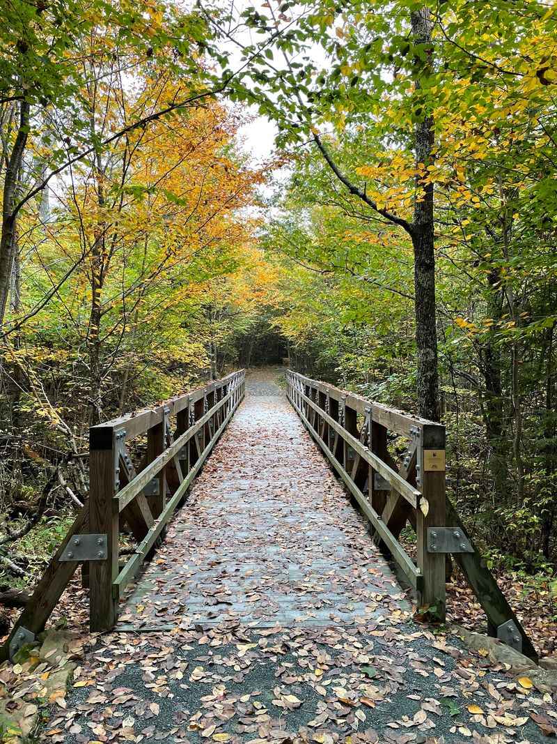 Wander Into the Wild on Winding Trails