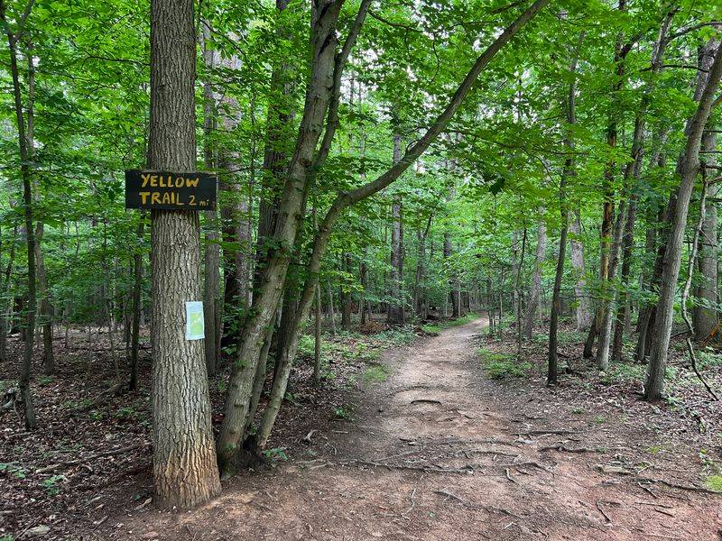 Wandering the Woodland Trail Network Wandering the Woodland Trail Network