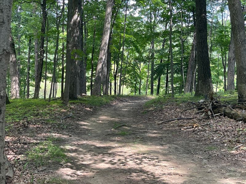 Washington Valley Park
