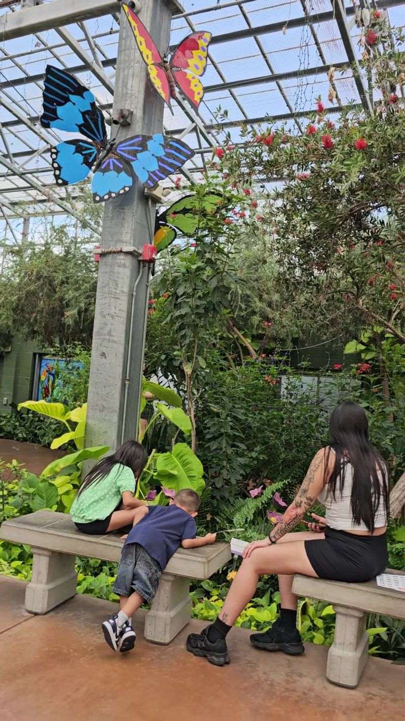 Watching Butterflies Break Free in the Emergence Gallery