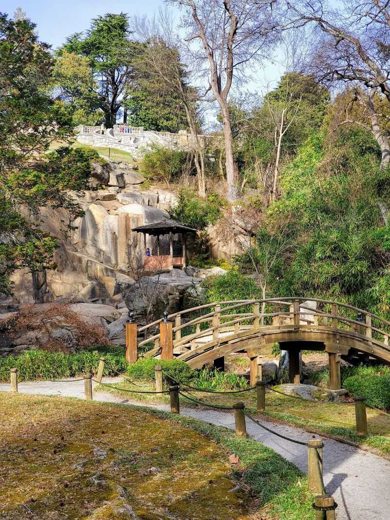 Water Features That Turn a Walk Into a Sensory Experience
