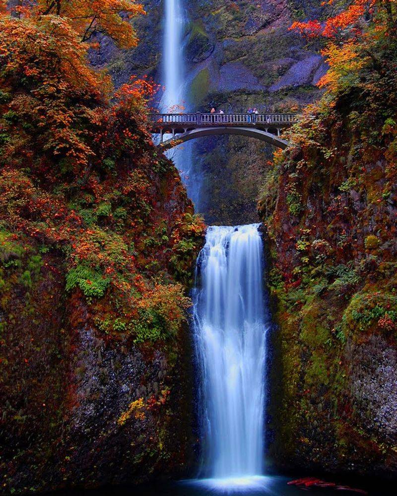 Waterfalls Stacked Along the Columbia River Gorge