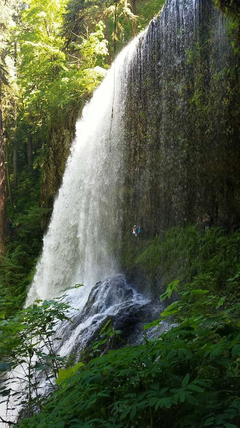Waterfalls just up the road at Silver Falls State Park Waterfalls just up the road at Silver Falls State Park
