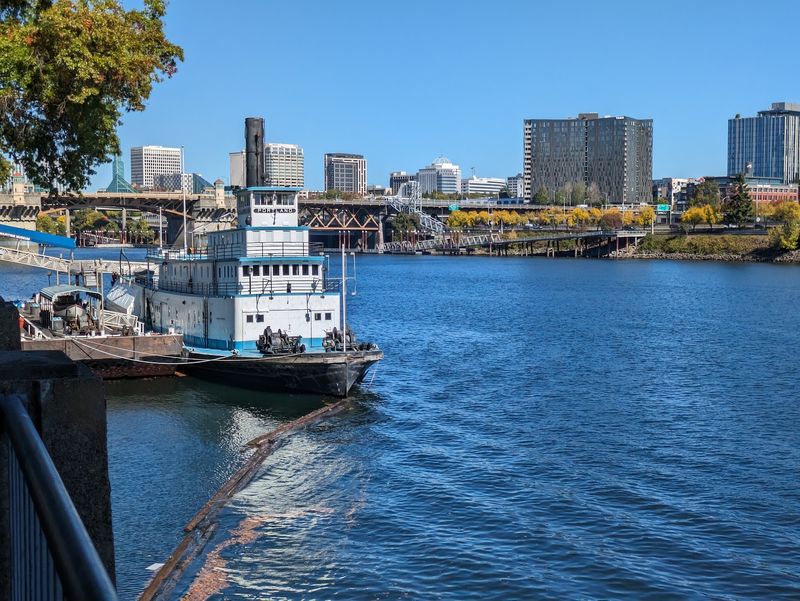 Waterfront Views and What Surrounds the Dock
