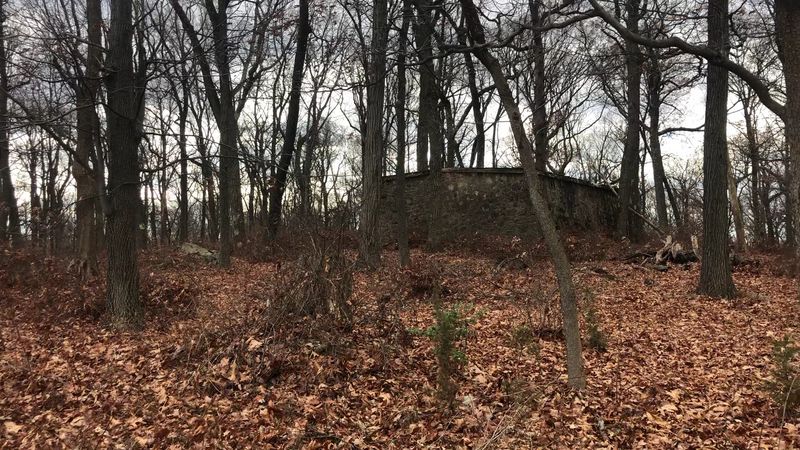 Weird NJ and the Power of Local Folklore Weird NJ and the Power of Local Folklore