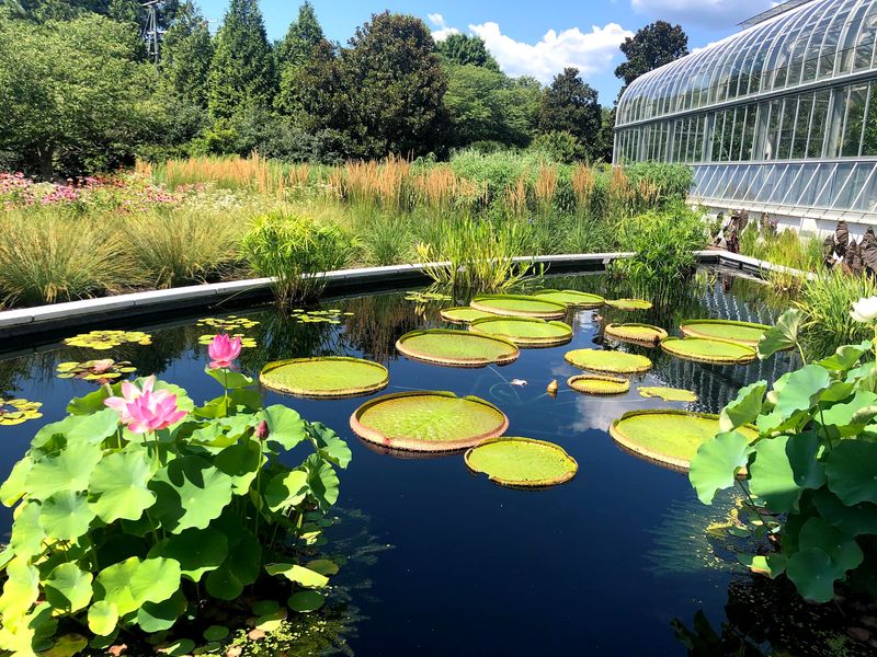 West Island Goes Full Wetland Wild West Island Goes Full Wetland Wild