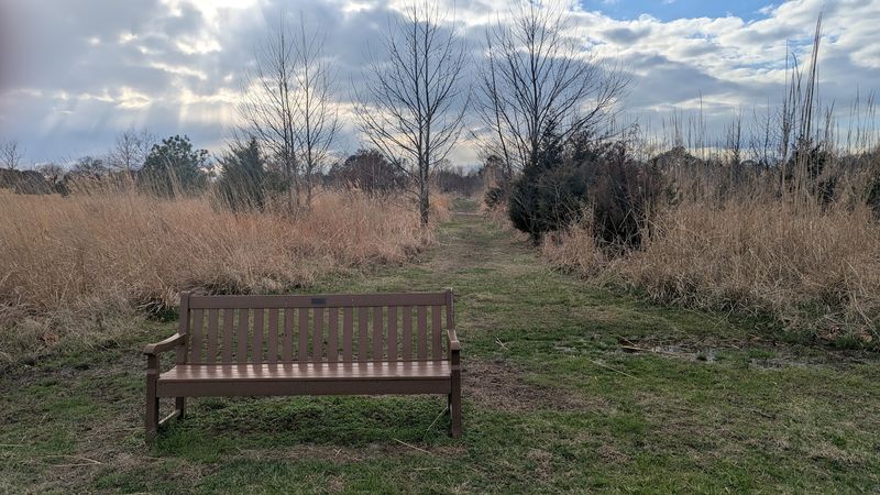 Wetland Trails, a Small Beach, and Benches Made for Doing Nothing Wetland Trails, a Small Beach, and Benches Made for Doing Nothing