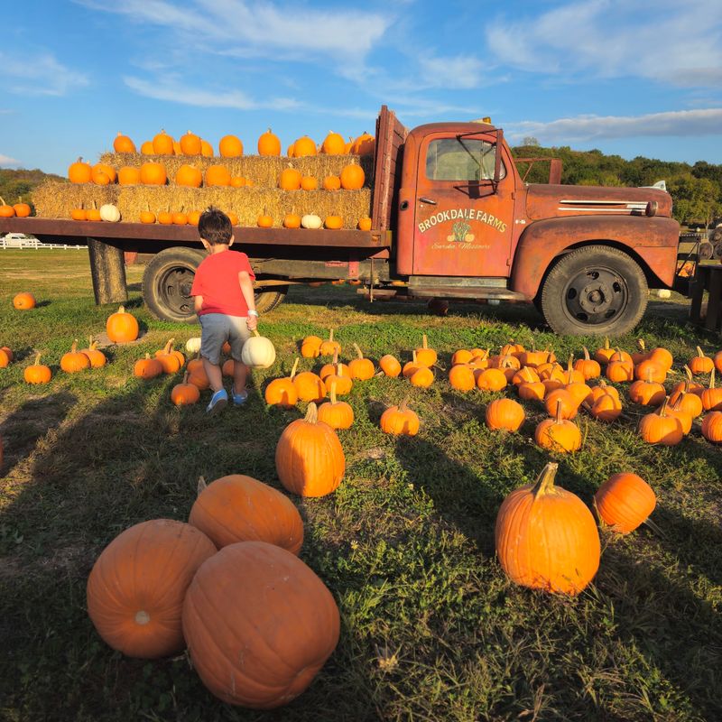 When Fall Rolls In And Everything Changes