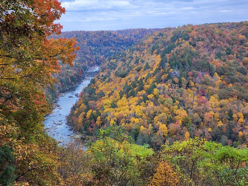 Where Confederate Hopes Faded on the Gauley Where Confederate Hopes Faded on the Gauley