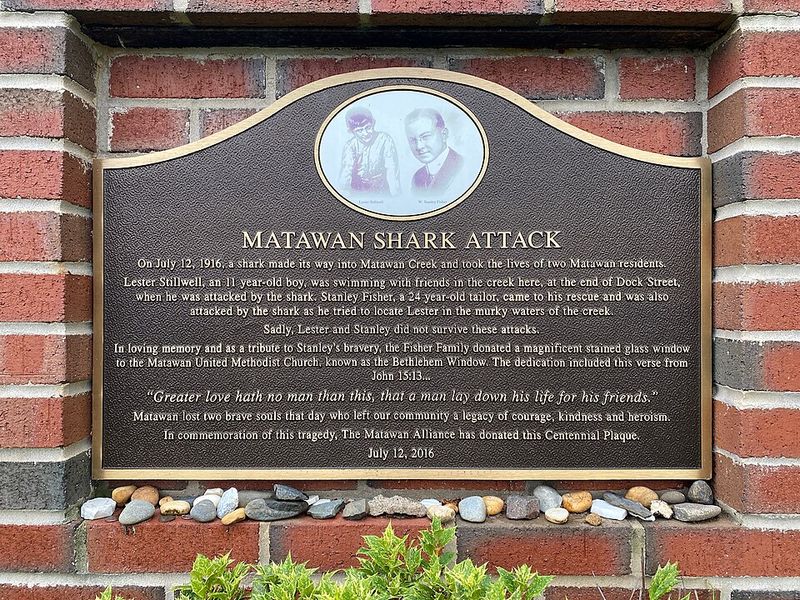 Where Jaws All Began