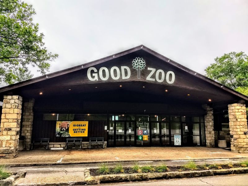 Where Lions Get the VIP Treatment